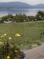 View from Pyramid Patio