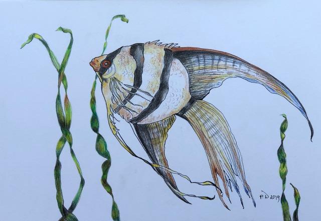 Fish painting