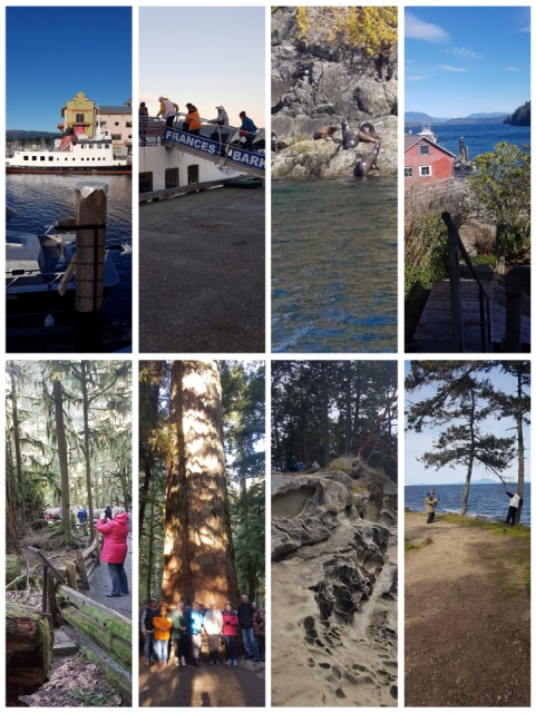 port alberni trip